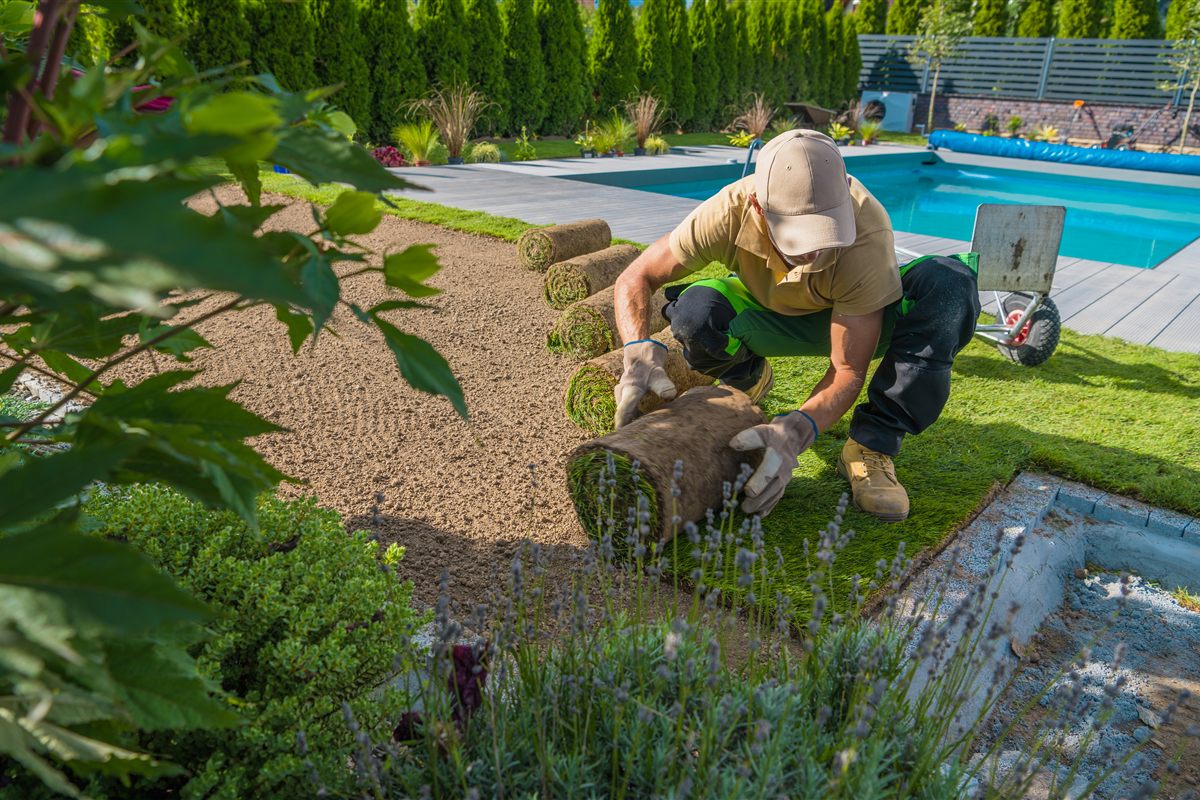 new-lawn-sod-installation Landscaper installing fresh sod for a new lawn