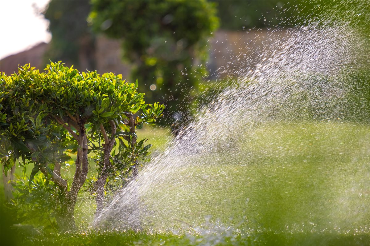 water-wise-irrigation-system Lawn irrigation sprinkler watering grass and shrubs